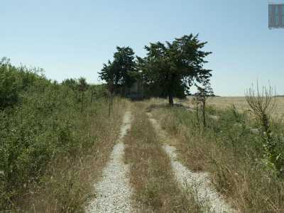 Questo si legge su una lapide sperduta nell�erba alta della campagna di Spinazzola...